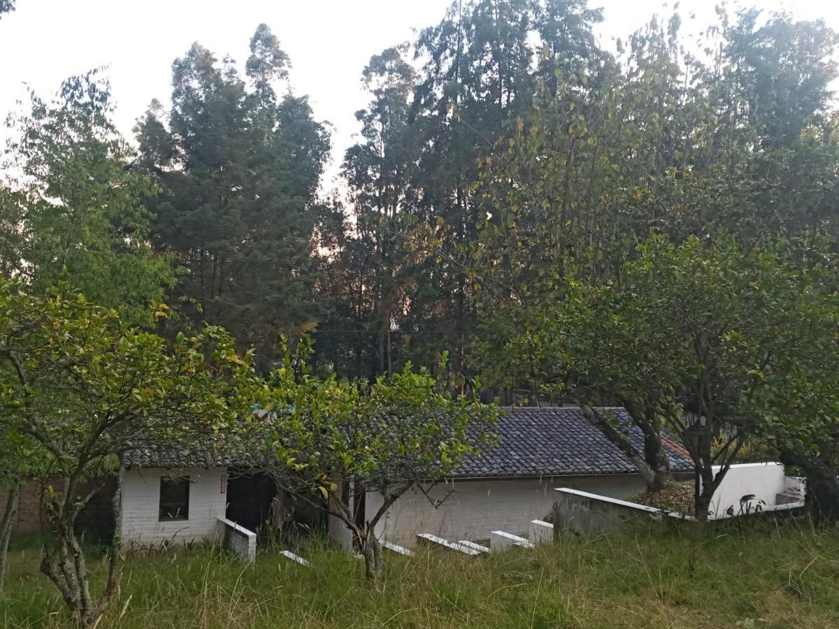 Quinta Los Eucaliptos Hotell Quito Eksteriør bilde